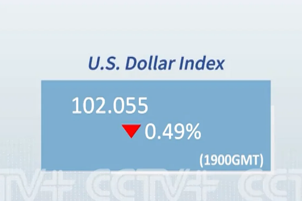 Dolar endeksi yüzde 0,49 geriledi